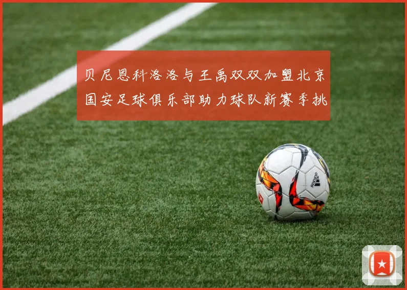 贝尼恩科洛洛与王禹双双加盟北京国安足球俱乐部助力球队新赛季挑战